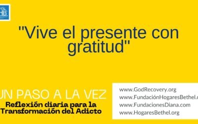 Tema de hoy: «Vive el presente con gratitud.»