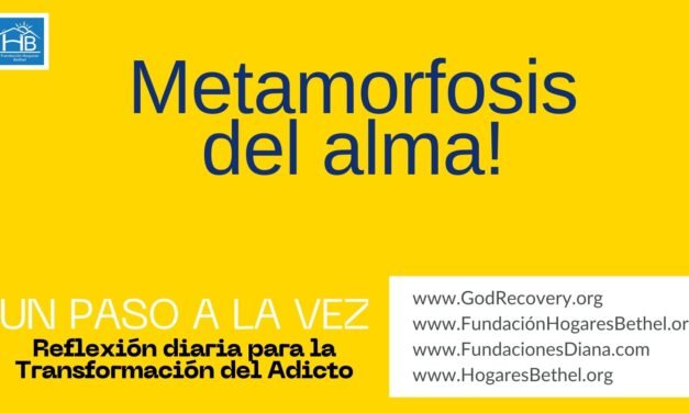 TEMA DE HOY: Metamorfosis del alma!